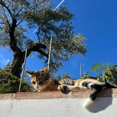 Holiday home La Colina Buena - Cosy Casita For Nature Lovers